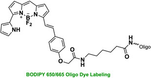 Bio-Synthesis Inc. Oligo Structure